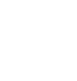 Prime Logo White